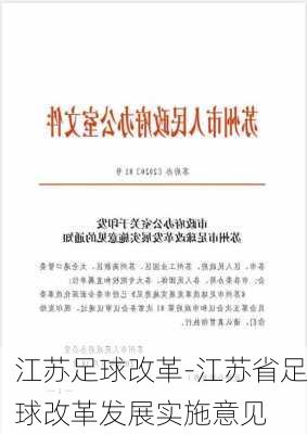 江苏足球改革-江苏省足球改革发展实施意见