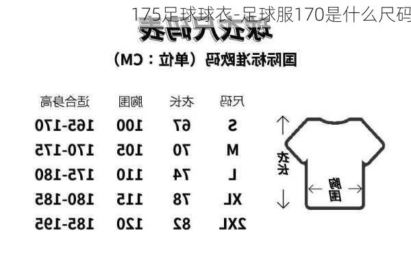 175足球球衣-足球服170是什么尺码