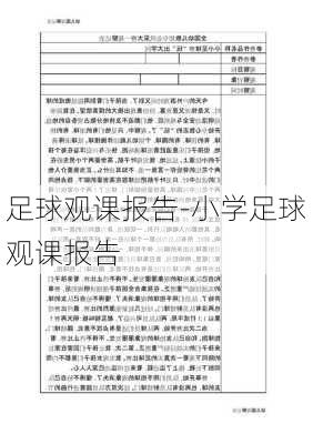 足球观课报告-小学足球观课报告