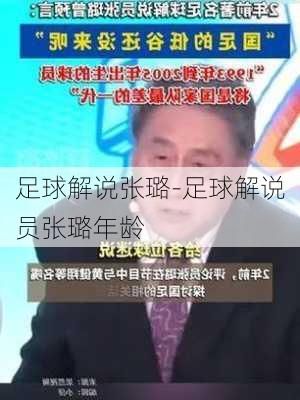 足球解说张璐-足球解说员张璐年龄