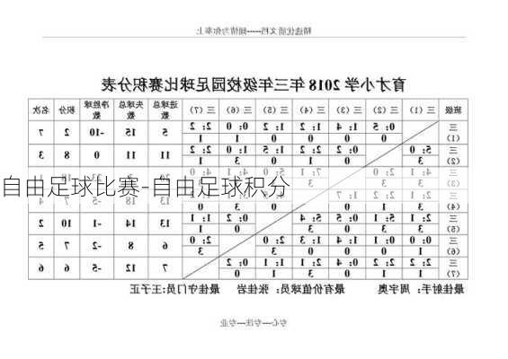 自由足球比赛-自由足球积分