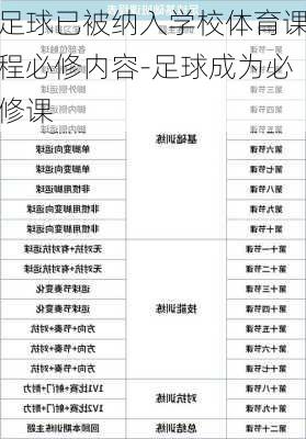 足球已被纳入学校体育课程必修内容-足球成为必修课