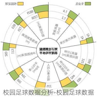 校园足球数据分析-校园足球数据