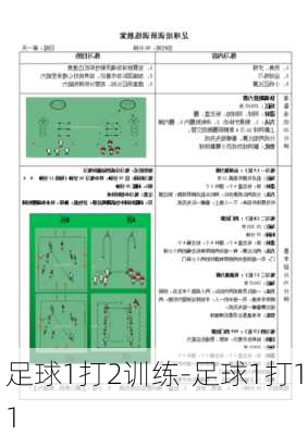 足球1打2训练-足球1打11